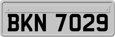 BKN7029