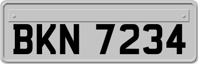 BKN7234