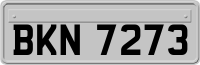 BKN7273