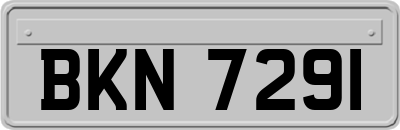 BKN7291