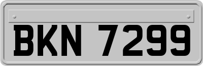 BKN7299