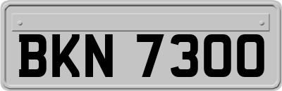 BKN7300