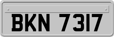 BKN7317