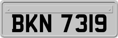 BKN7319