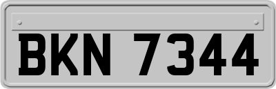 BKN7344