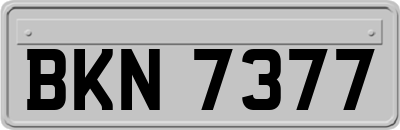 BKN7377