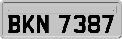 BKN7387