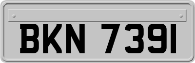 BKN7391
