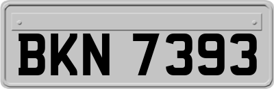 BKN7393
