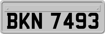 BKN7493