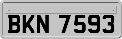 BKN7593