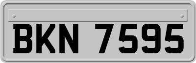 BKN7595