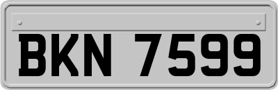 BKN7599