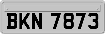 BKN7873