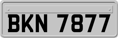BKN7877