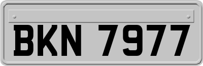 BKN7977