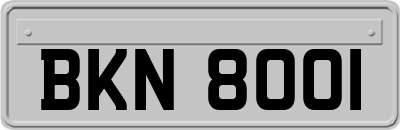 BKN8001