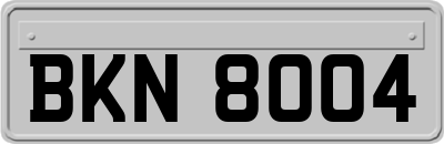 BKN8004