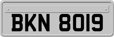BKN8019