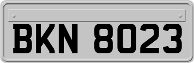 BKN8023