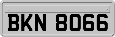 BKN8066