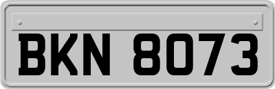 BKN8073