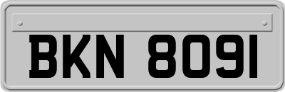 BKN8091