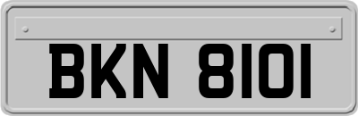 BKN8101