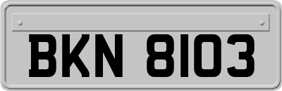 BKN8103