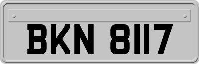 BKN8117