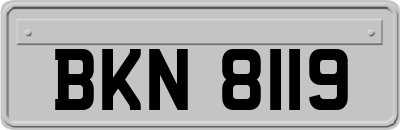 BKN8119