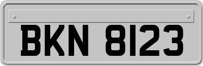 BKN8123