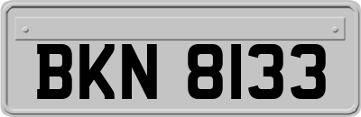 BKN8133