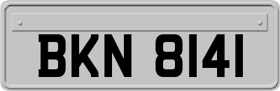 BKN8141