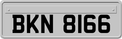 BKN8166