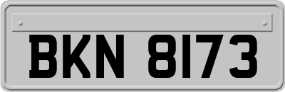 BKN8173