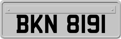BKN8191