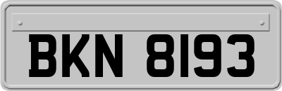 BKN8193