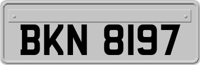 BKN8197