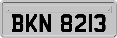 BKN8213