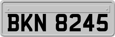 BKN8245