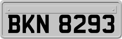 BKN8293