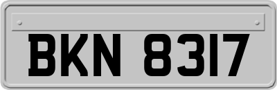 BKN8317
