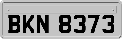 BKN8373