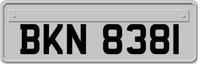 BKN8381