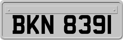 BKN8391