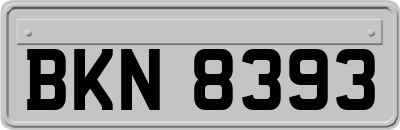 BKN8393
