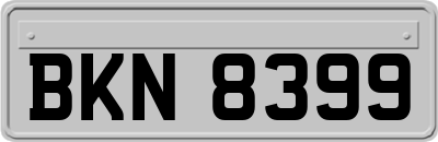 BKN8399
