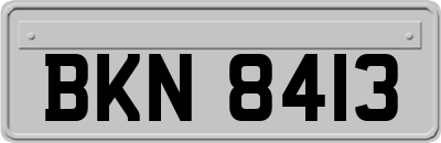 BKN8413