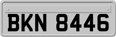 BKN8446